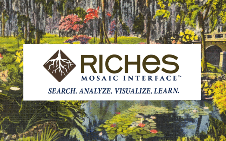 Logo for the RICHES Mosaic Interface over a colorful landscape illustration with the tagline “Search. Analyze. Visualize. Learn.”