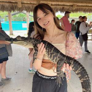 kong with alligator